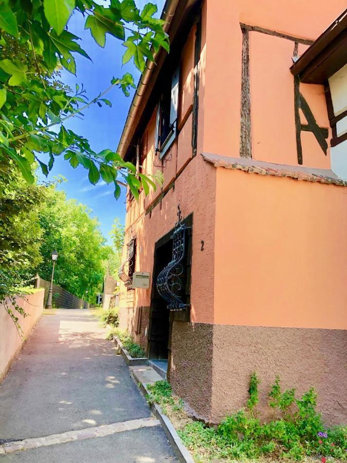 Gite "Rempart Sud" A Ribeauville Екстер'єр фото