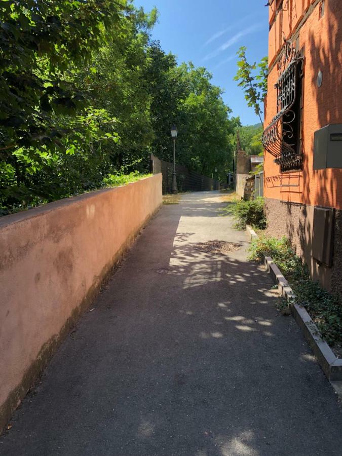 Gite "Rempart Sud" A Ribeauville Екстер'єр фото